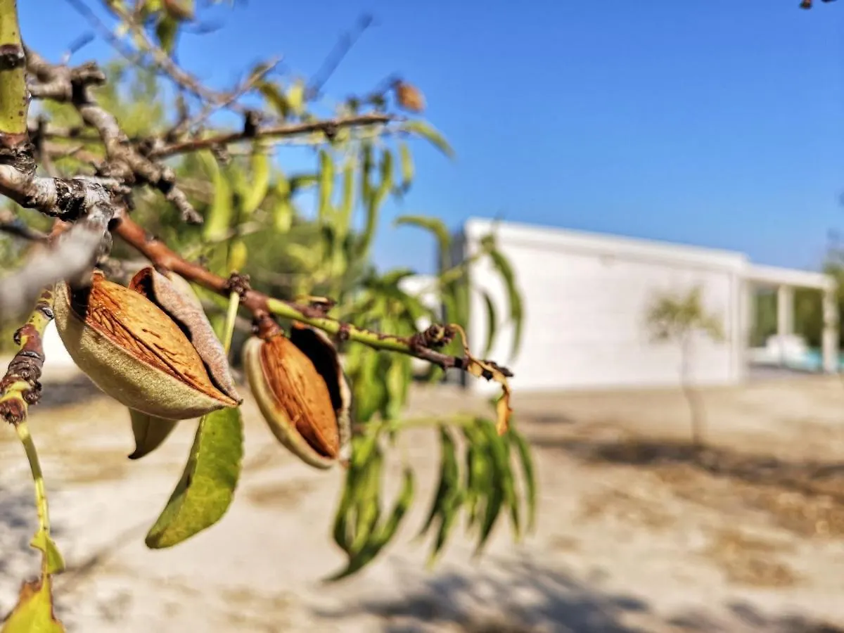 Mennuli&Alivi - Organic Farm Villa Noto Farm stay