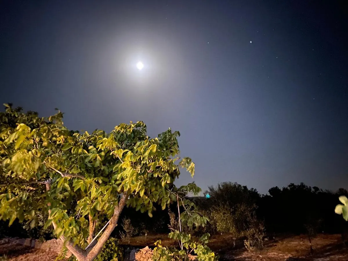 Farm stay Mennuli&Alivi - Organic Farm Villa Noto Italy