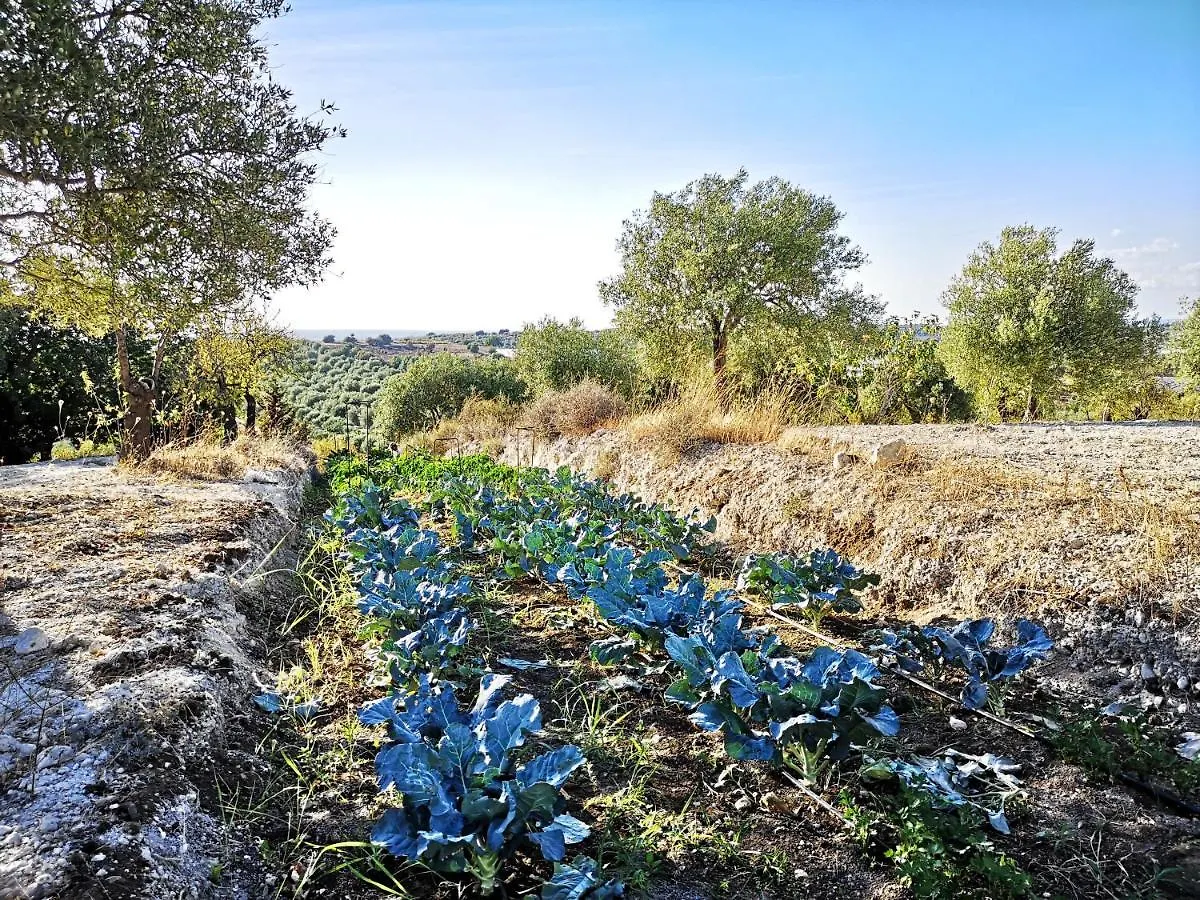 Mennuli&Alivi - Organic Farm Villa Noto 0*,